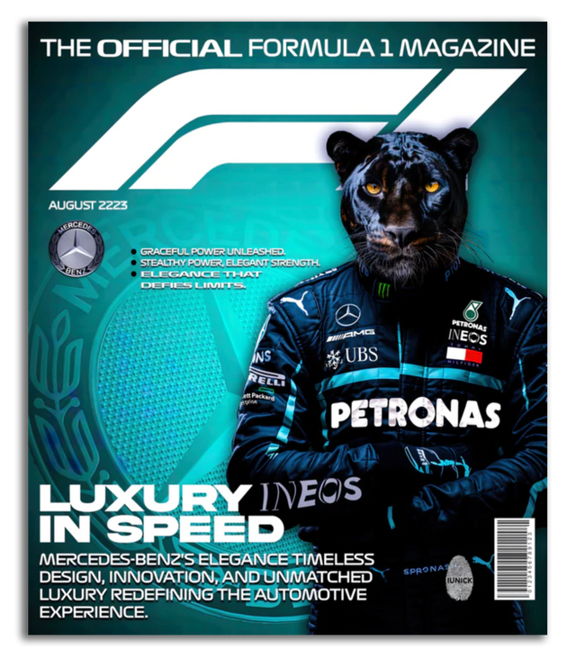 Formula 1: Luxury in Speed