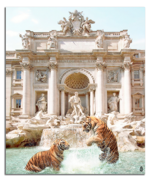 Compañeros de cascada