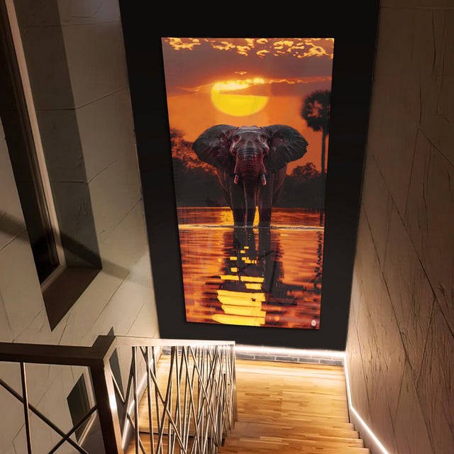 Silhouette of Strength