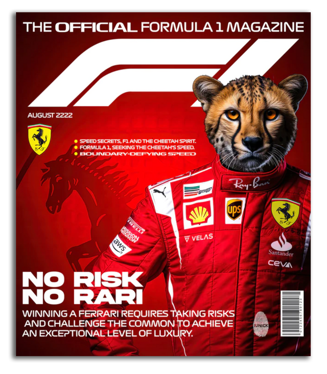 Formula 1: No Risk No Rari