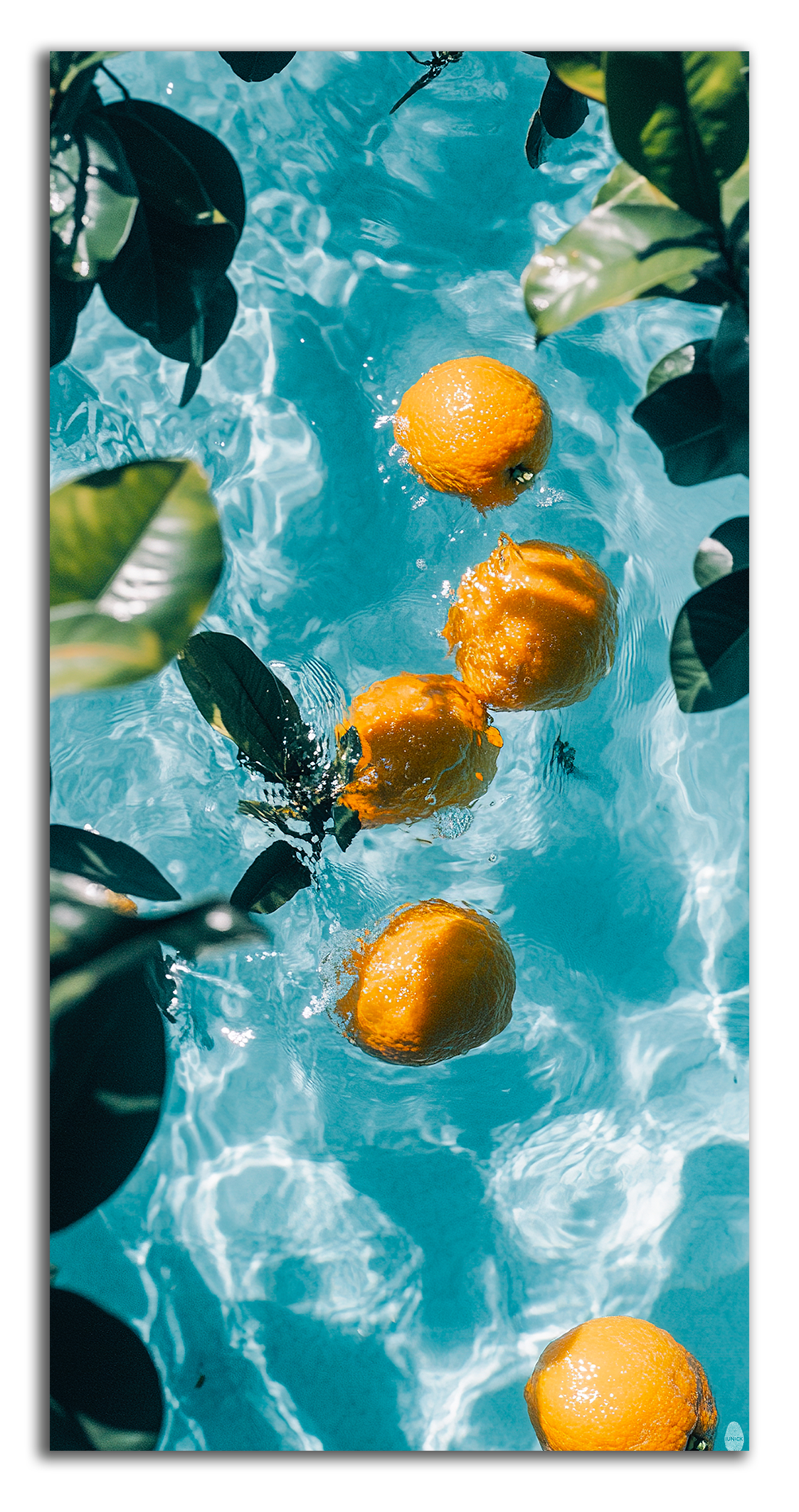 Citrus Oasis