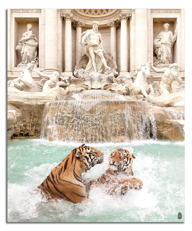 Wild Waters of Rome