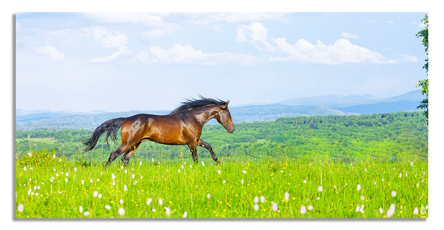 Pastoral Beauty