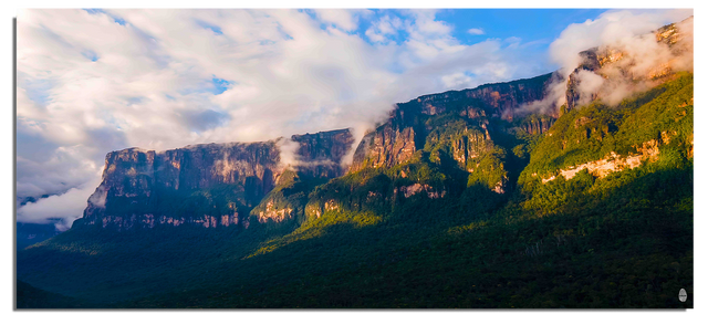 Jungle in the Clouds